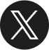x icon